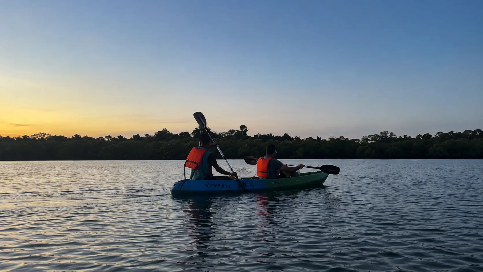 Mangrove Paddles kayaking on Havelock Island, Andaman, photo 4