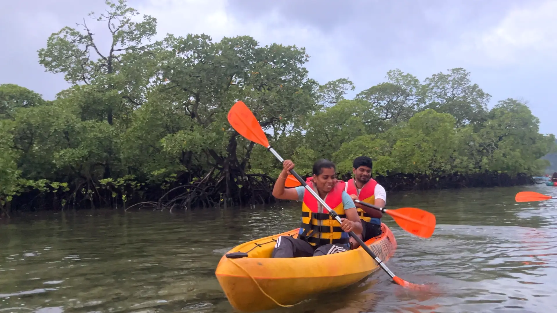 Havelock Kayaking: Guided Tour or Solo Paddle? 