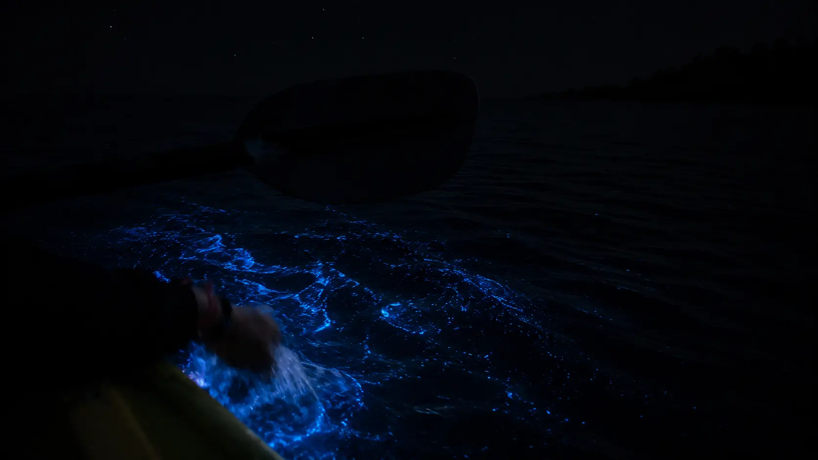 Is Night Kayaking in Havelock Safe for Families?